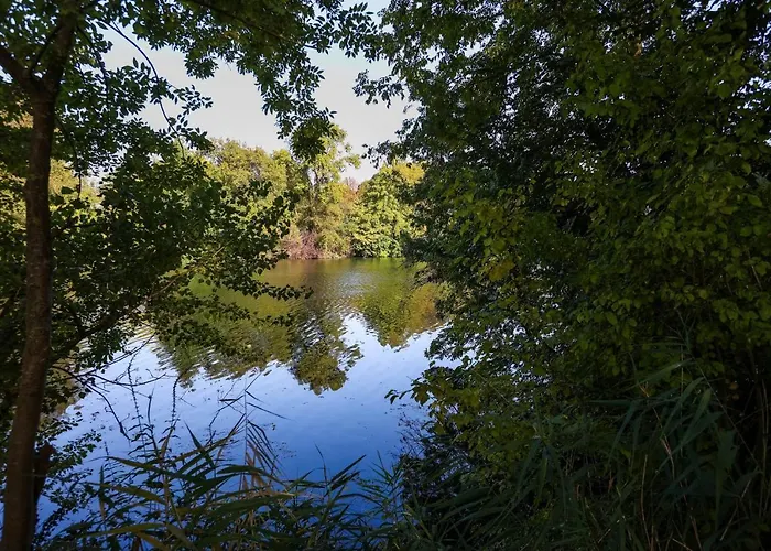 公寓 Le Saint Martin #centre #charente #6pers